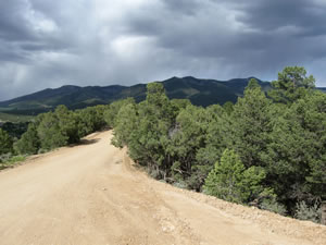 The road to the D.H. Lawrence Ranch
